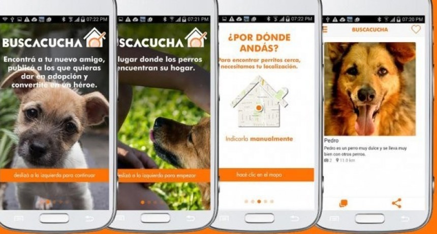 Buscacucha la nueva APP para adoptar MASCOTAS