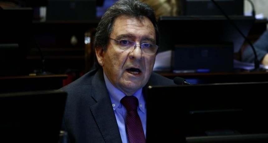 Apoyan a CASTILLO y acusan a sectores PRO VIDA de amenazar al Senador