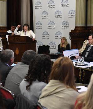 Una docena de expositores en el arranque del debate por el aborto