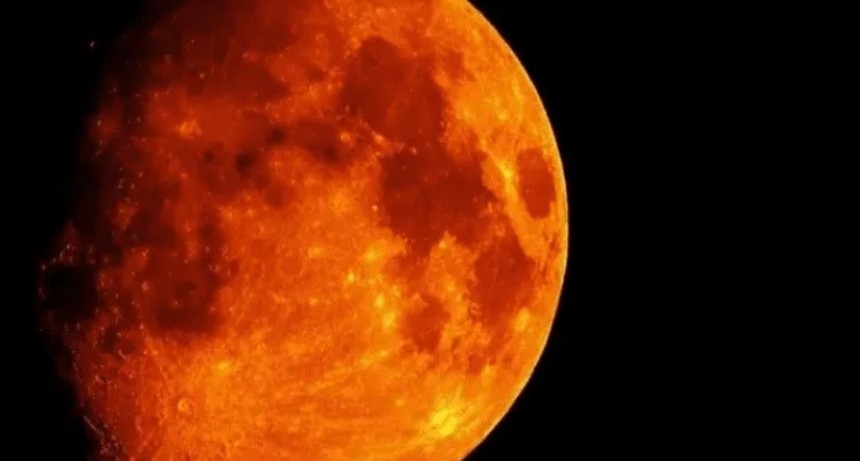 Encontraron posibles indicios vida en Marte