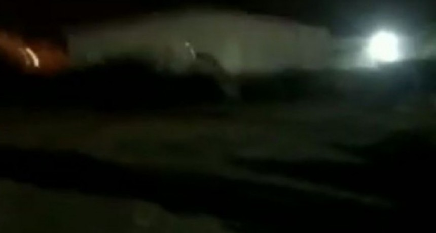 Sereno de una cerámica asegura que grabó al Almamula. Video