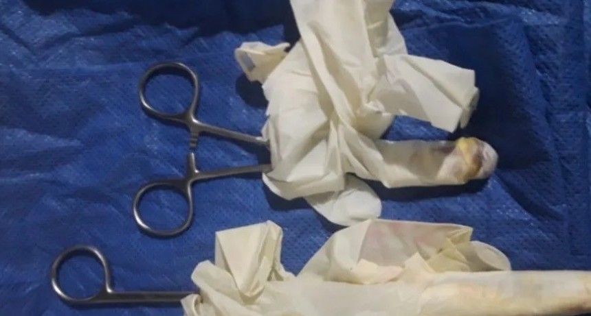 Tarotista peruana lideraba banda que hacía abortos