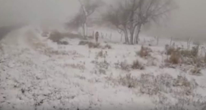 Impresionante nevada en las sierras de Ancasti