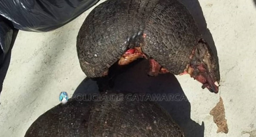 Reporte Policial de Catamarca 