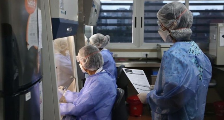 Coronavirus en la Argentina: 2439 contagios en las últimas 24 horas, Catamarca sigue con 6 casos