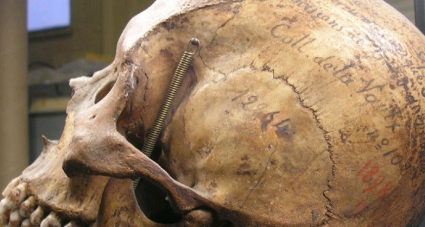 Reclaman a la ONU que un museo francés restituya restos de un tehuelche