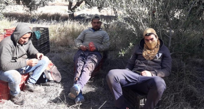 RENATRE Catamarca sin atención al publico