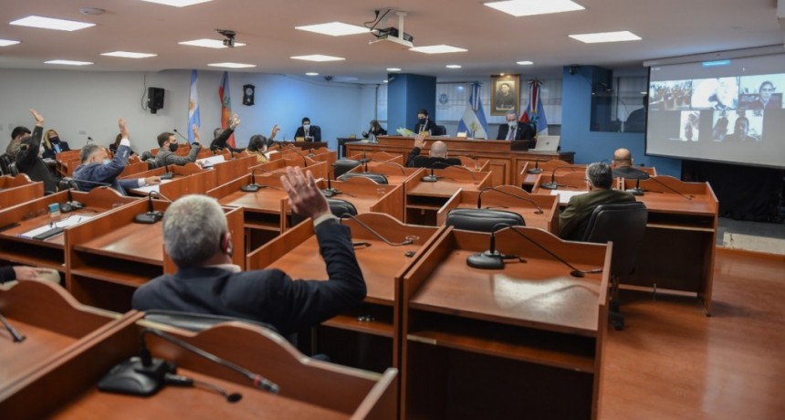 El Senado dio sanción definitiva a seis leyes,entre ellas Donación voluntaria de plasma sanguíneo