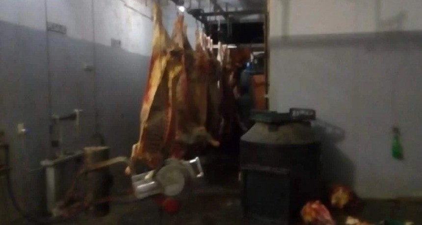 Habilitan Matadero Municipal en Andalgalá para faena