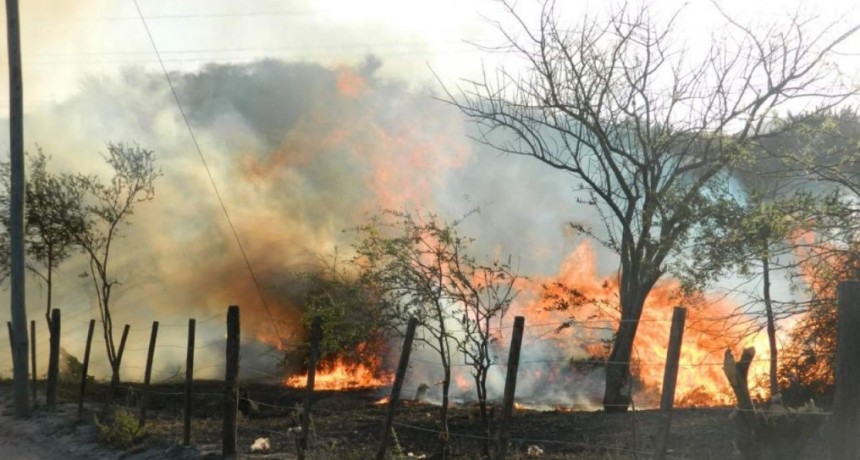 El empresario Baggio entre los imputados por las quemas de pastizales