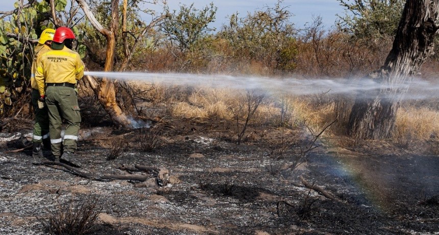  No cesan los Incendios Forestales en la provincia 