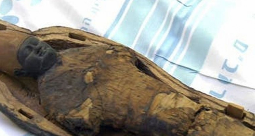 Descubren una momia no humana de 2.500 años
