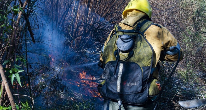 Combaten incendio de gran magnitud en Pomancillo  