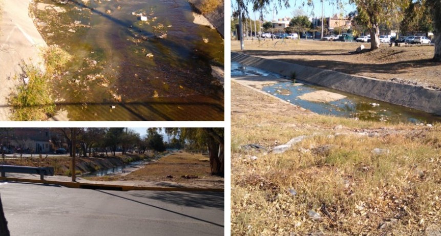 Nos cuidamos mucho del Covid-19 y ¿el Dengue?