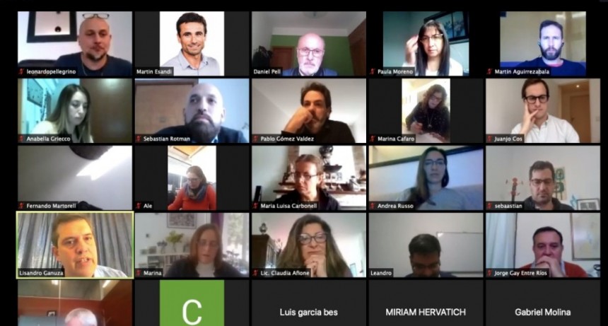 Reunión virtual del Consejo Federal de zonas Francas Argentinas