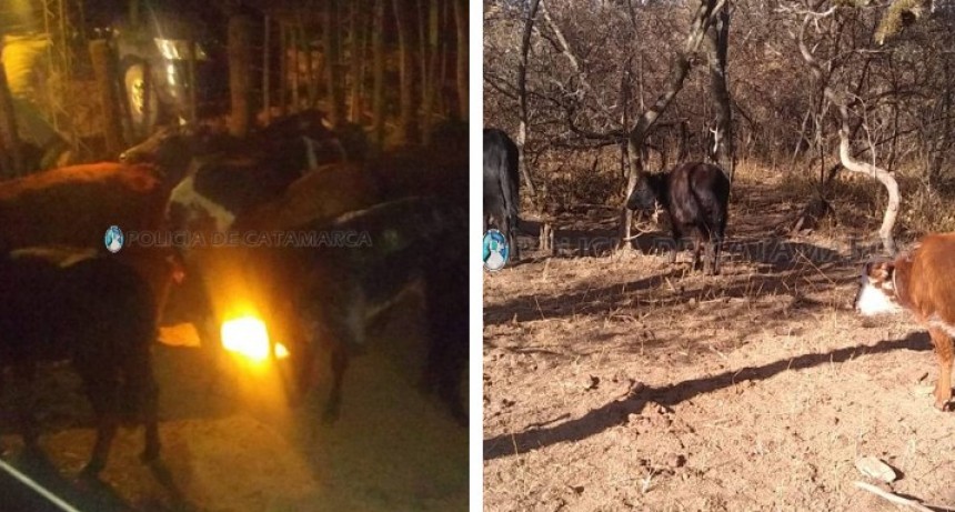 INFORMACION OFICIAL: Reporte actualizado Policía de la Provincia