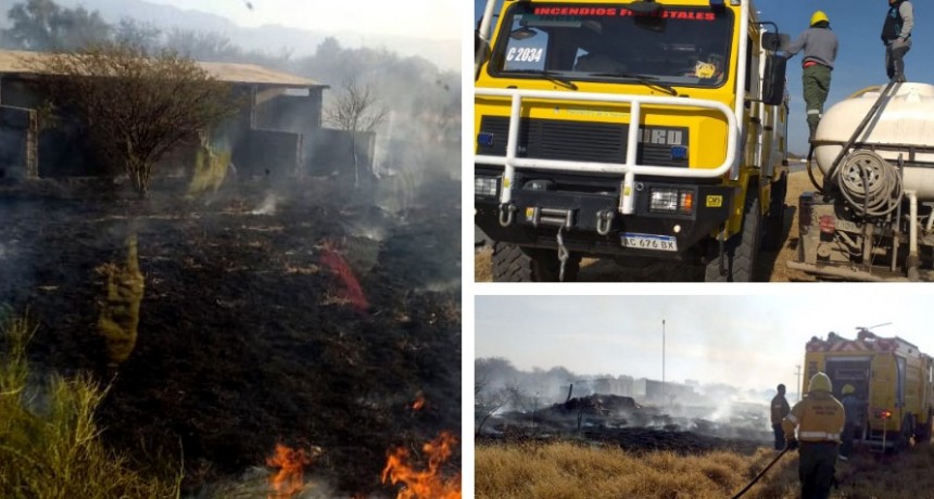 Periódicamente se combaten focos ígneos en el valle central  
