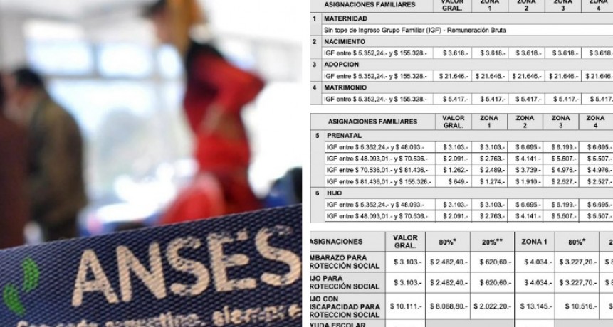 ANSES modificó los montos de las asignaciones familiares
