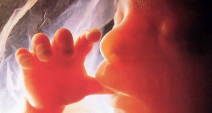 Re&iacute;r, llorar, so&ntilde;ar y otras cosas incre&iacute;bles que hace un beb&eacute; en la panza 
