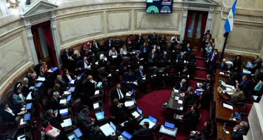 Aborto legal: el Senado podr&iacute;a rechazar el proyecto y no habr&iacute;a ley este a&ntilde;o