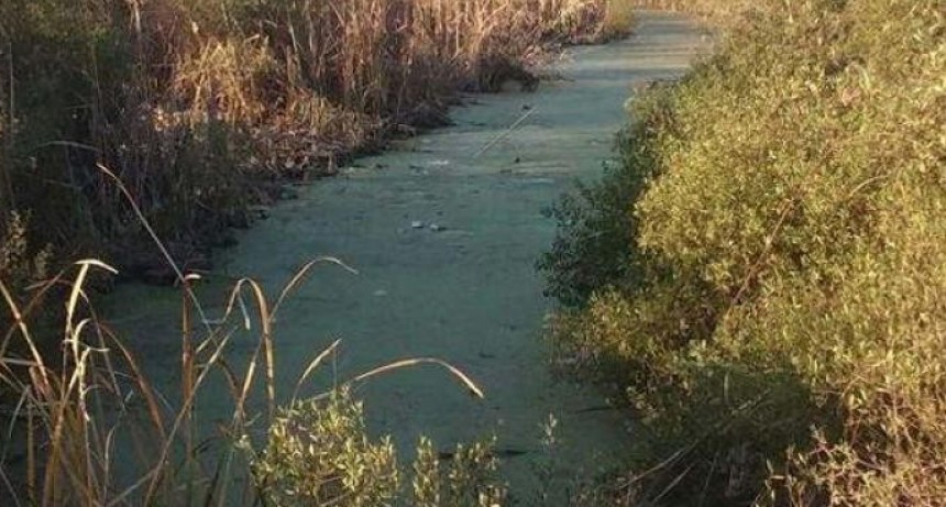 Una ni&ntilde;a de un a&ntilde;o y diez meses muri&oacute; al caer en una represa