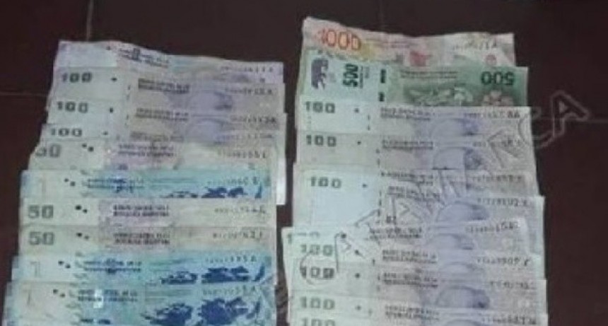  Ni&ntilde;o de 11 a&ntilde;os robo en una Veterinaria