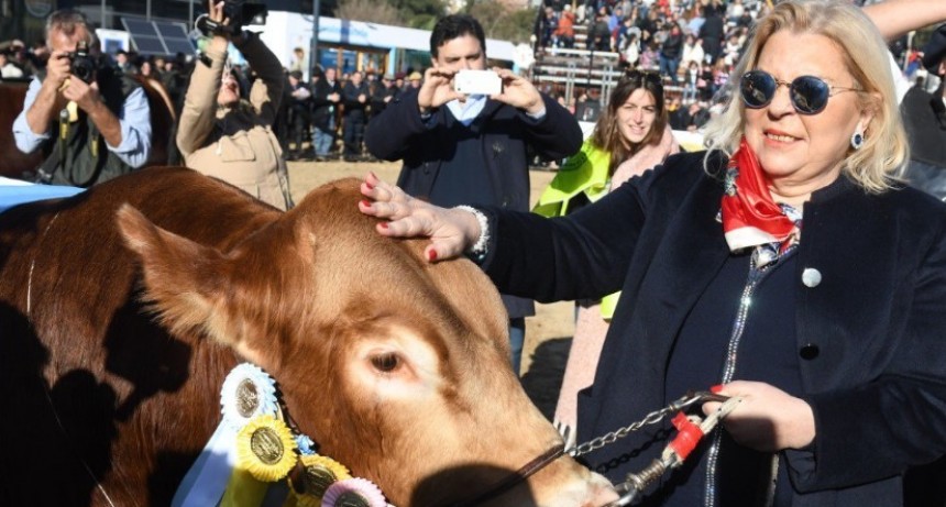 Elisa Carrió, de cara a las elecciones: Vamos a ganar en octubre por paliza