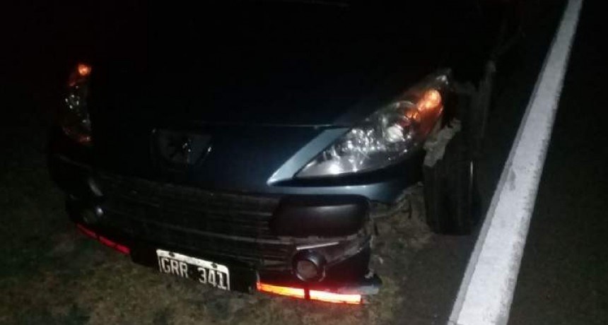 Fuerte choque contra un animal en la ruta 38