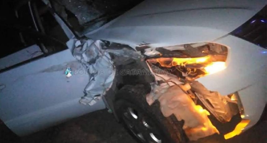 Fuerte choque contra un animal en la ruta 1