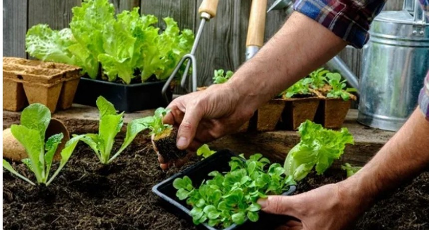 Los jóvenes como promotores ambientales