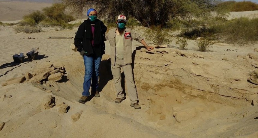 Antropólogos descubrieron el cuerpo de un infante de un año que data de fines del siglo XIX