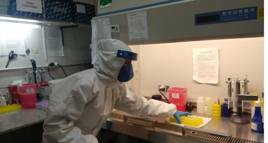 Verónica Campi: “Hasta que no cerramos la puerta del Laboratorio Central no son días tranquilos”