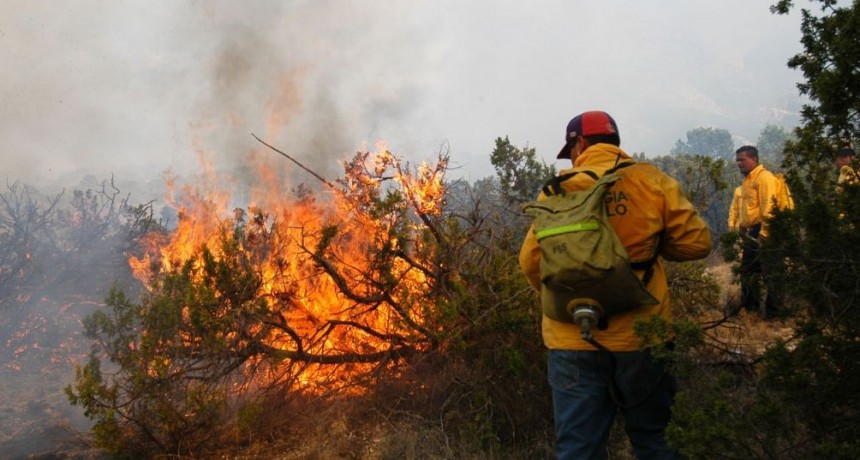 Apoyo de Ambiente en zonas afectadas por los incendios forestales 