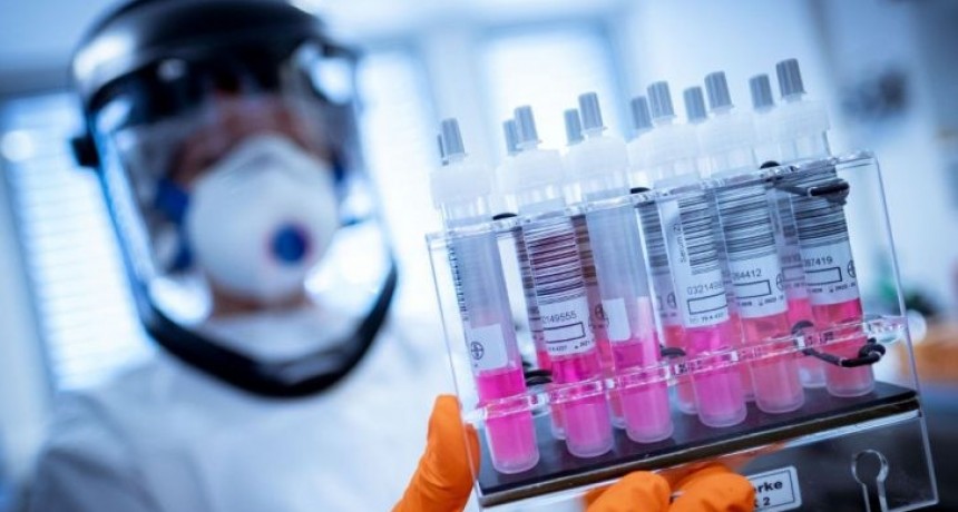 Argentina producirá en el país la vacuna desarrollada por la Universidad de Oxford