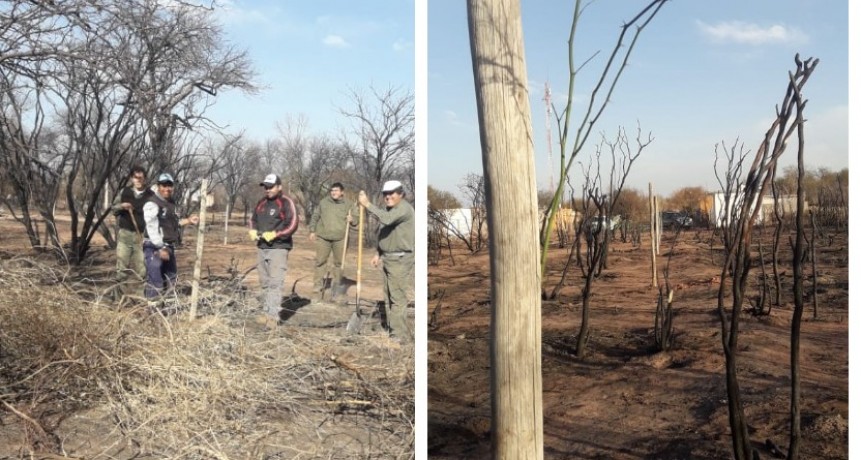 Comienza el plan de recuperación en La Puntilla