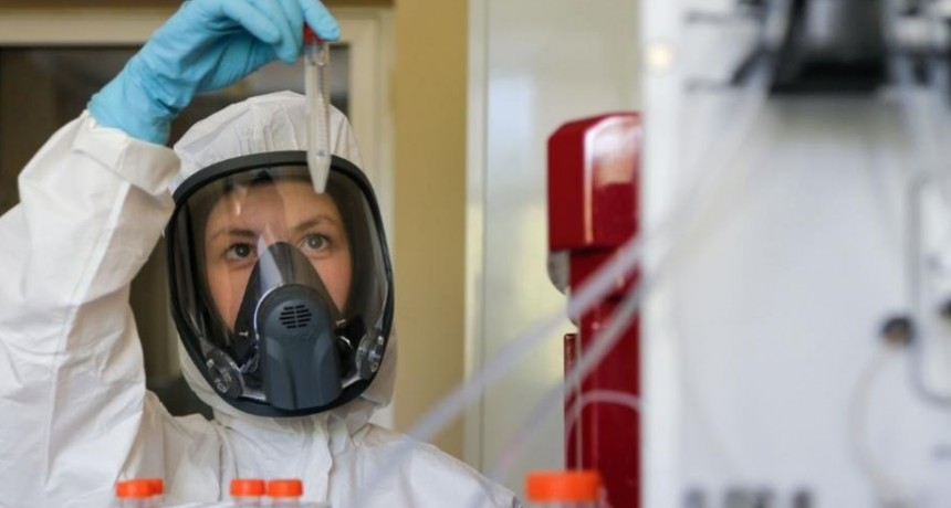 Rusia anunció que ya produjo el primer lote de su vacuna contra el Covid-19