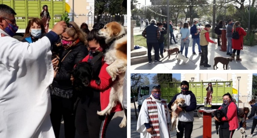 Bendición de mascotas en La Chacarita