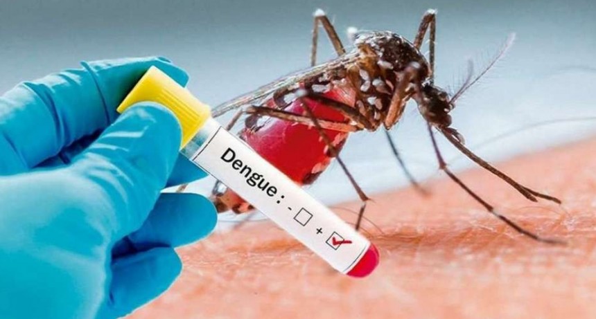 Capacitan para combatir al dengue