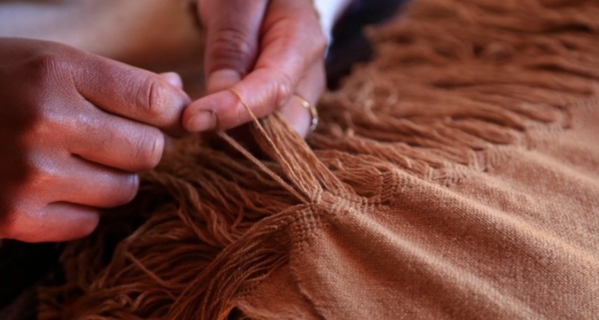 Más de 300 catamarqueños accedieron a la Beca Sostener Cultura II