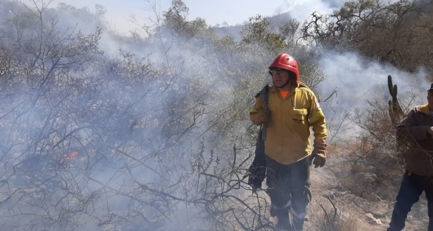 No cesan los incendios forestales en la provincia  