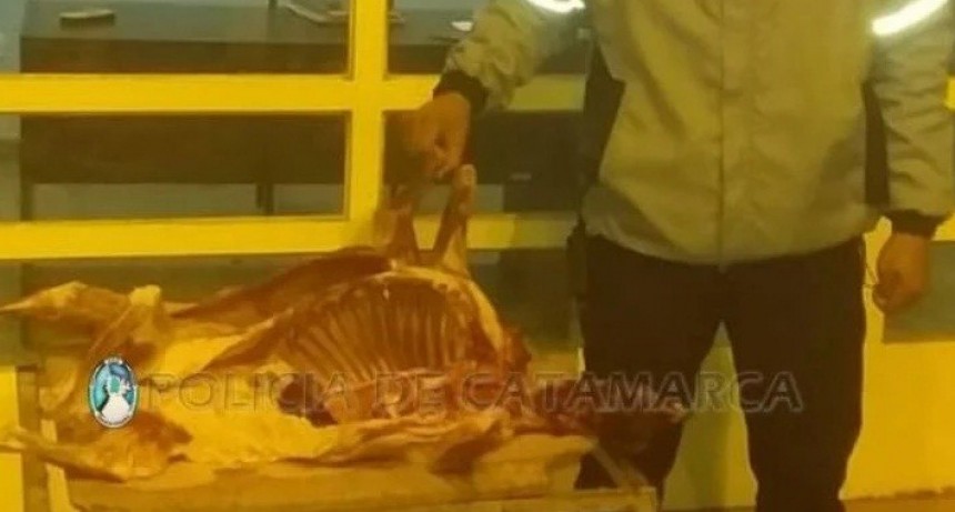 Controlaron un automóvil en el Puesto Caminero de Valle Viejo y en el interior transportaba animales faenados