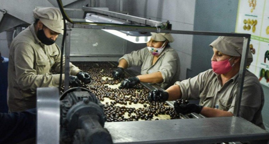 Exportaciones a Italia y África  