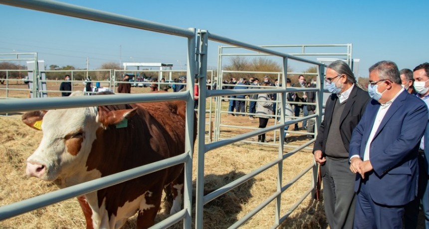Inauguraron el Centro de Genética de Ganado Bovino