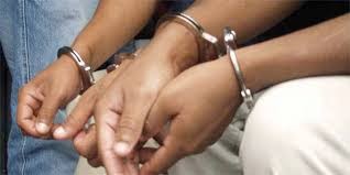  Varios detenidos en pelea clandestina de perros 