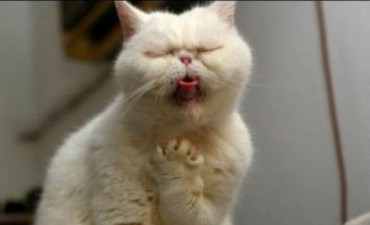 Principales razones por las que nos eliminan de Facebook