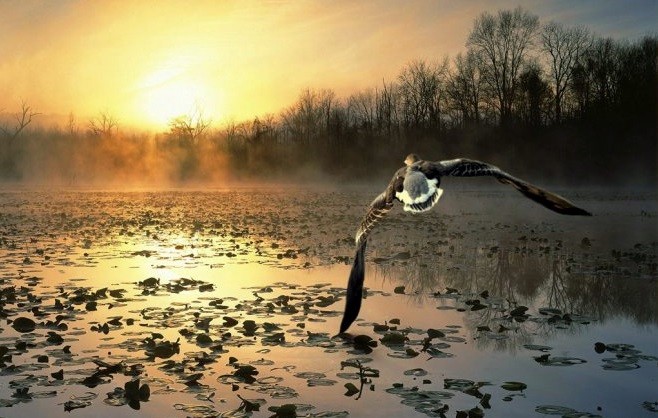 Nuestra Reflexión diaria