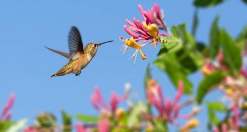 Chau Frio!: c&oacute;mo estar&aacute; el tiempo esta semana