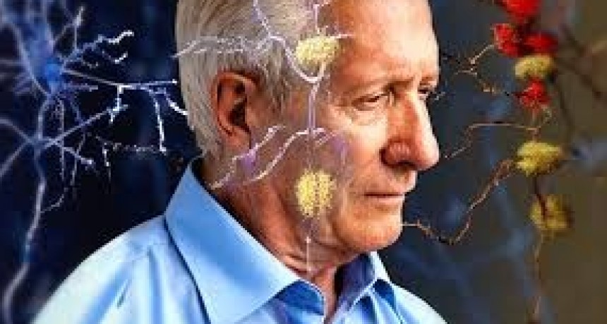 A 15 meses de su sanci&oacute;n, a&uacute;n no fue reglamentada la Ley de Alzheimer