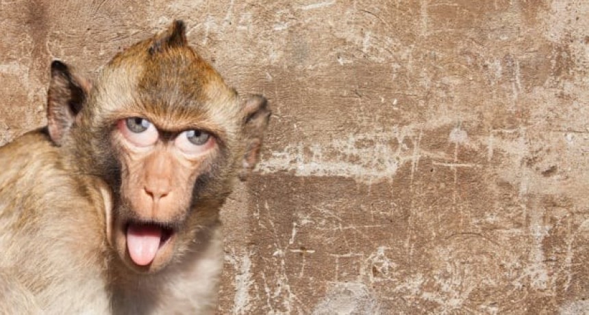 Nivel de locura de cada signo del zod&iacute;aco