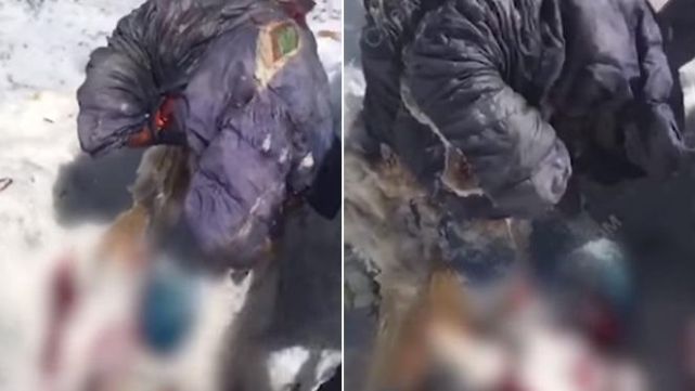 Hallan cuerpo en perfecto estado de alpinista desaparecida hace 31 a&ntilde;os